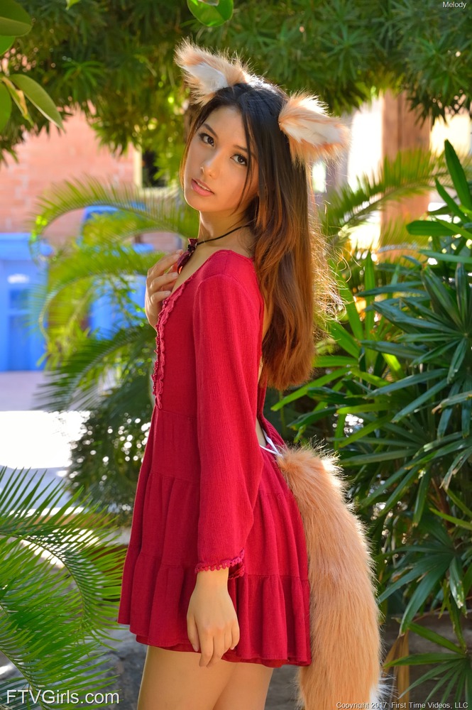 Holo The Wise Wulf 15