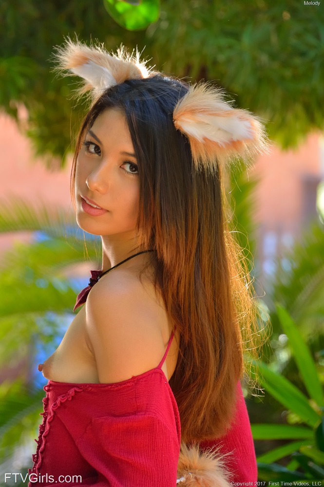 Holo The Wise Wulf 18