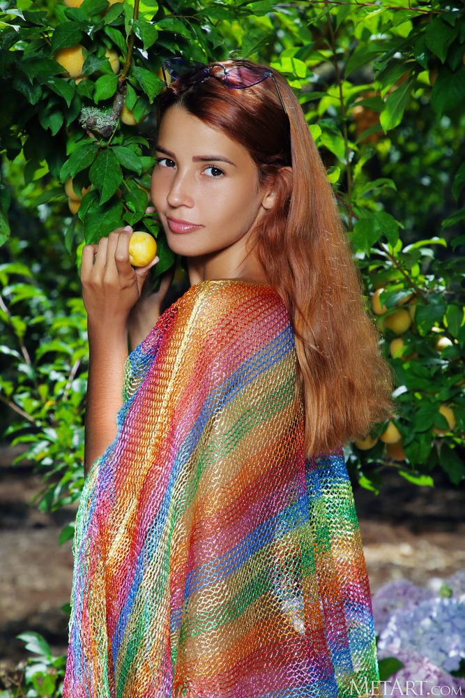 Rainbow 02