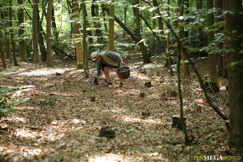 Mushroom hunter picks up blonde pussy 02